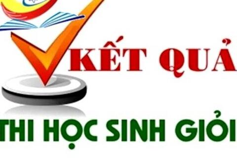 Kết quả thi HSG cấp tỉnh năm học 2018-2019