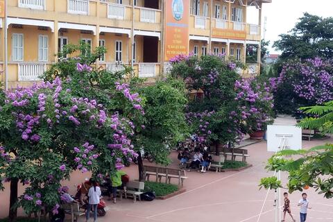 Tiêu chí thi đua năm học 2020-2021