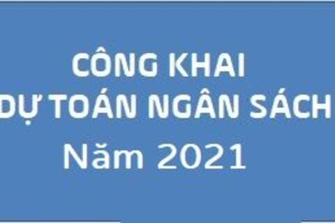 Công khai Dự toán ngân sách năm 2021