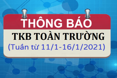 THỜI KHÓA BIỂU TUẦN TỪ 11/01 - 16/01/2021