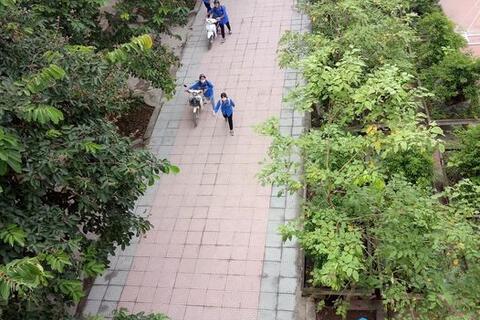 KẾT QUẢ THI ĐUA TUẦN 24