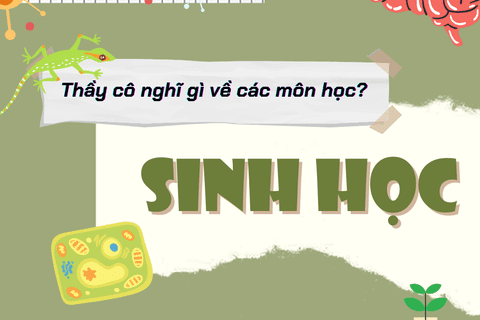 Phỏng vấn các thầy cô về cách học tốt môn Sinh Học - CLB Sách và Hành Động THPT Đức Hợp.