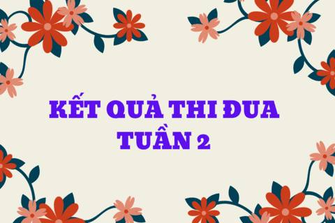 KẾT QUẢ THI ĐUA TUẦN 2