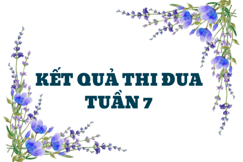 KẾT QUẢ THI ĐUA TUẦN 7
