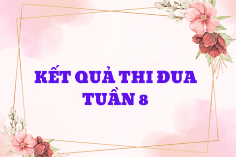 KẾT QUẢ THI ĐUA TUẦN 8