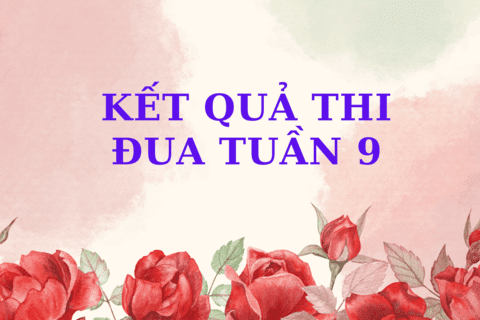 KẾT QUẢ THI ĐUA TUẦN 9