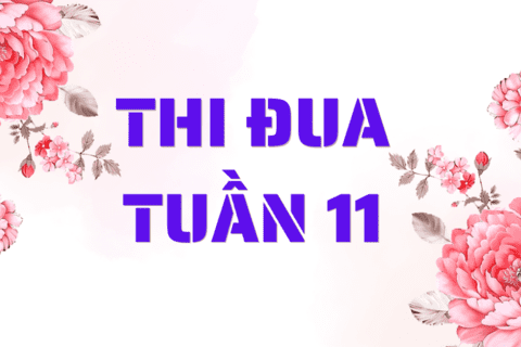 KẾT QUẢ THI ĐUA TUẦN 11