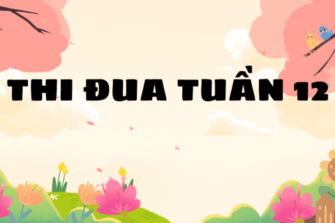 KẾT QUẢ THI ĐUA TUẦN 12
