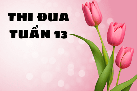 KẾT QUẢ THI ĐUA TUẦN 13