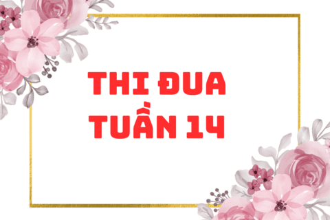KẾT QUẢ THI ĐUA TUẦN 14