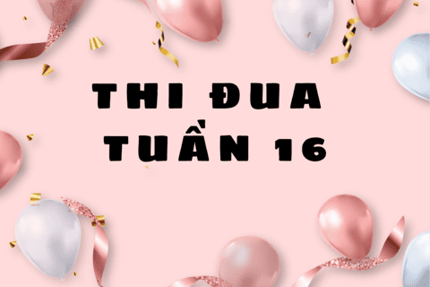 KẾT QUẢ THI ĐUA TUẦN 16