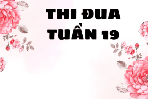 KẾT QUẢ THI ĐUA TUẦN 19
