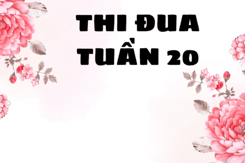 KẾT QUẢ THI ĐUA TUẦN 20