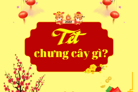 Ý nghĩa của các loại cây ngày Tết - CLB Sách và Hành Động THPT Đức Hợp
