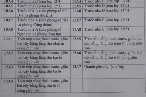 Phân công vị trí đặt chậu cây xanh, phong trào "908 chậu cây phủ xanh khuôn viên trường".